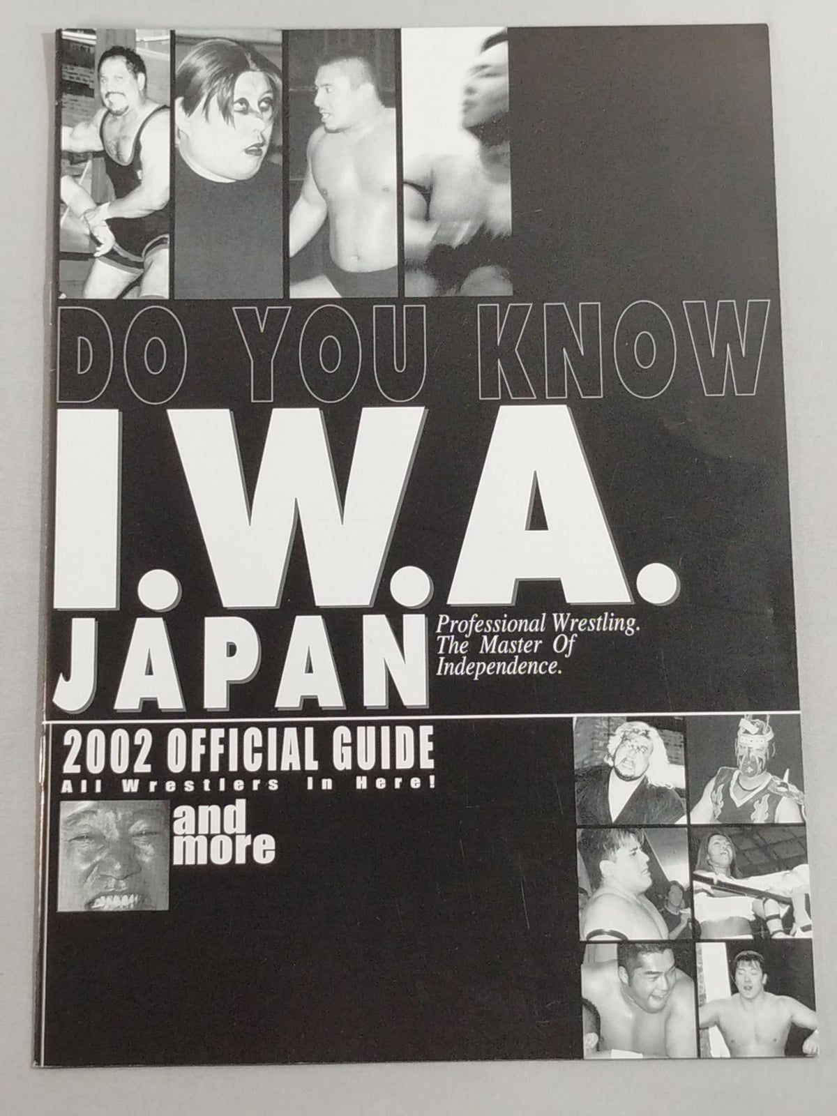 IWAジャパン 2002オフィシャルガイド