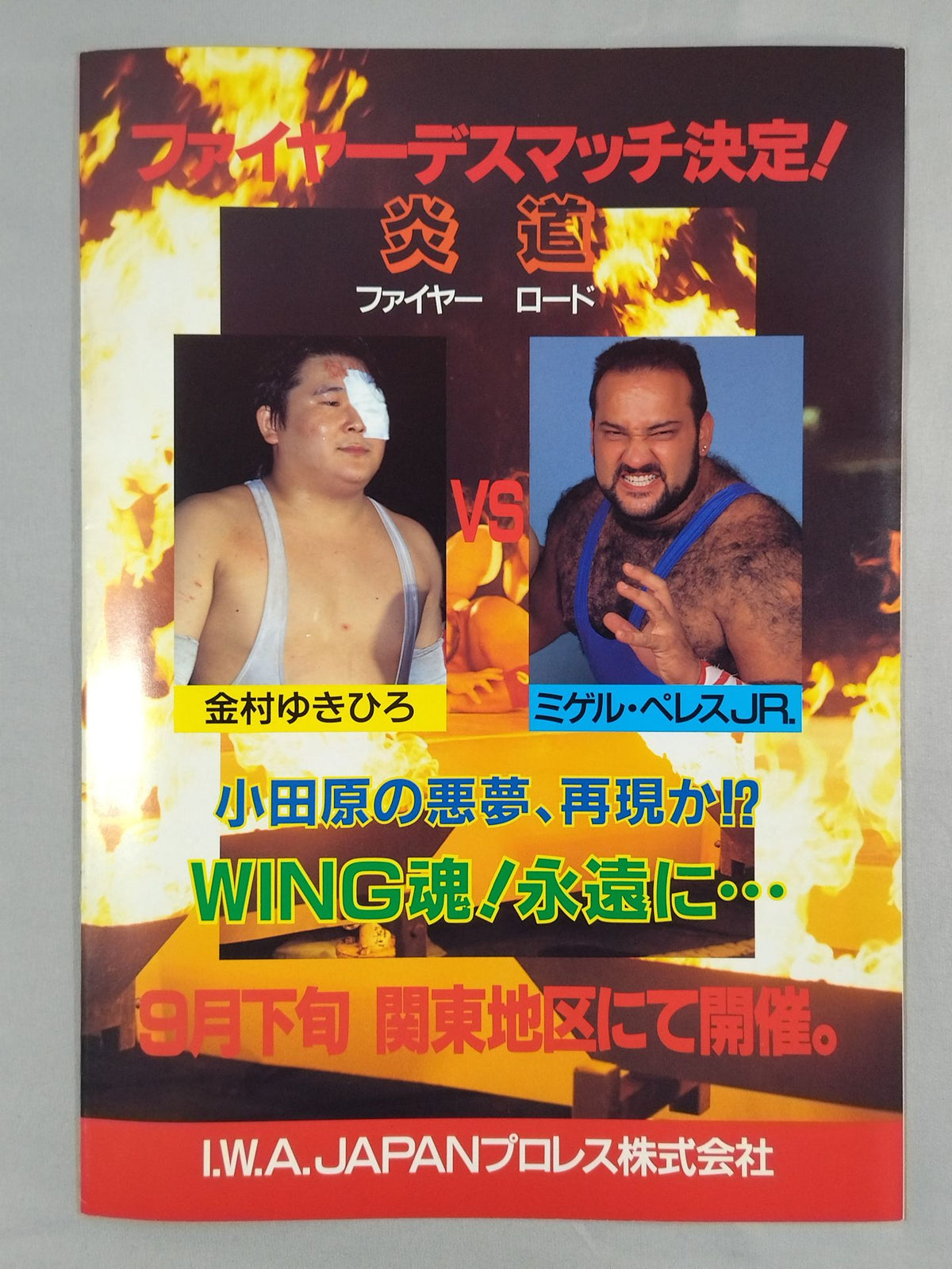 IWA JAPAN プロレス