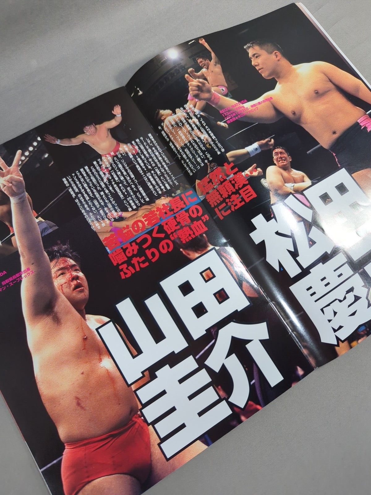 Shinsei IWA JAPANPro Wrestling  RESTART OFFICIAL PROGRAM Vol.1