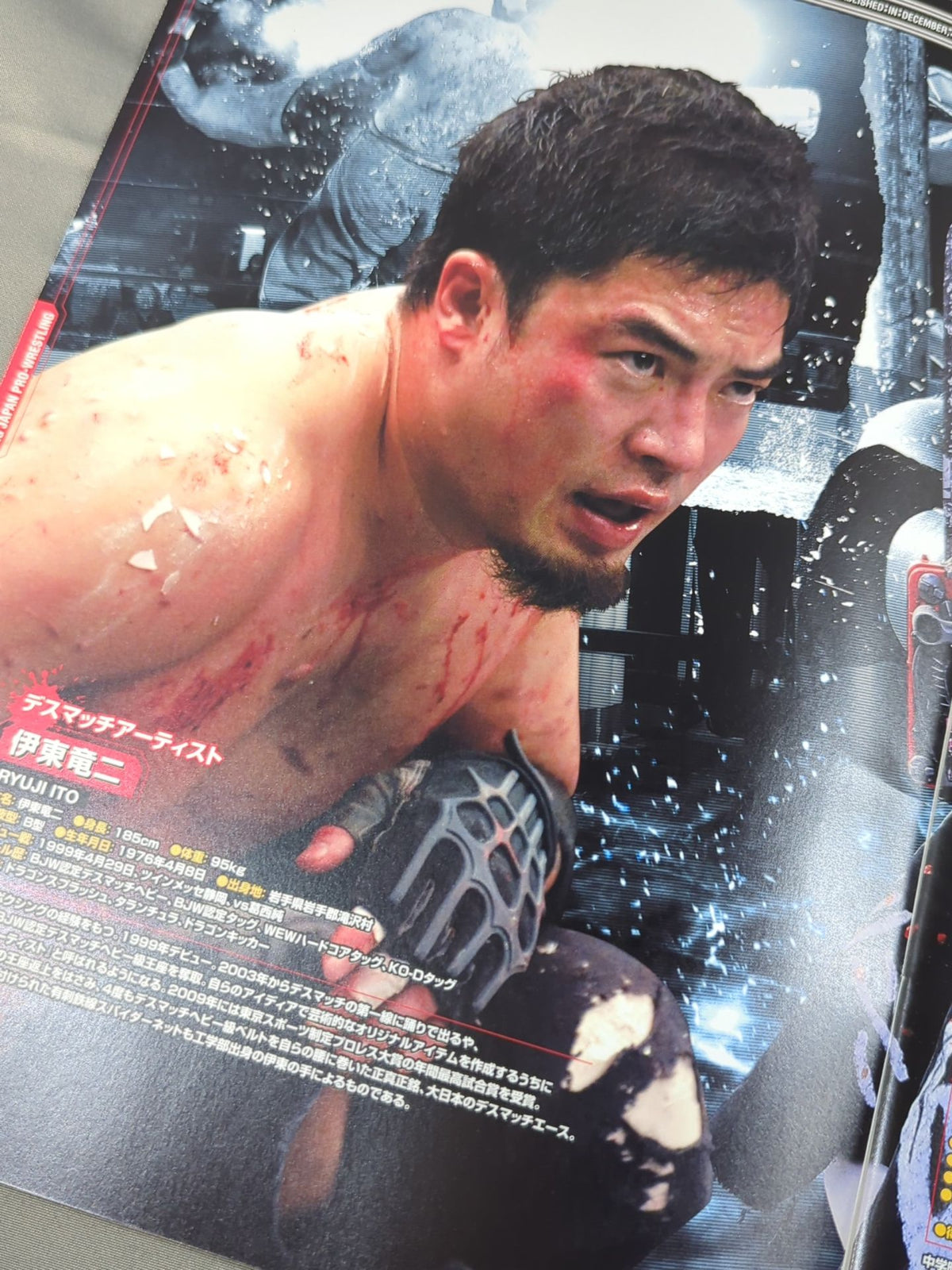 大日本プロレス BIG JAPAN PRO-WRESTLING(2011年)