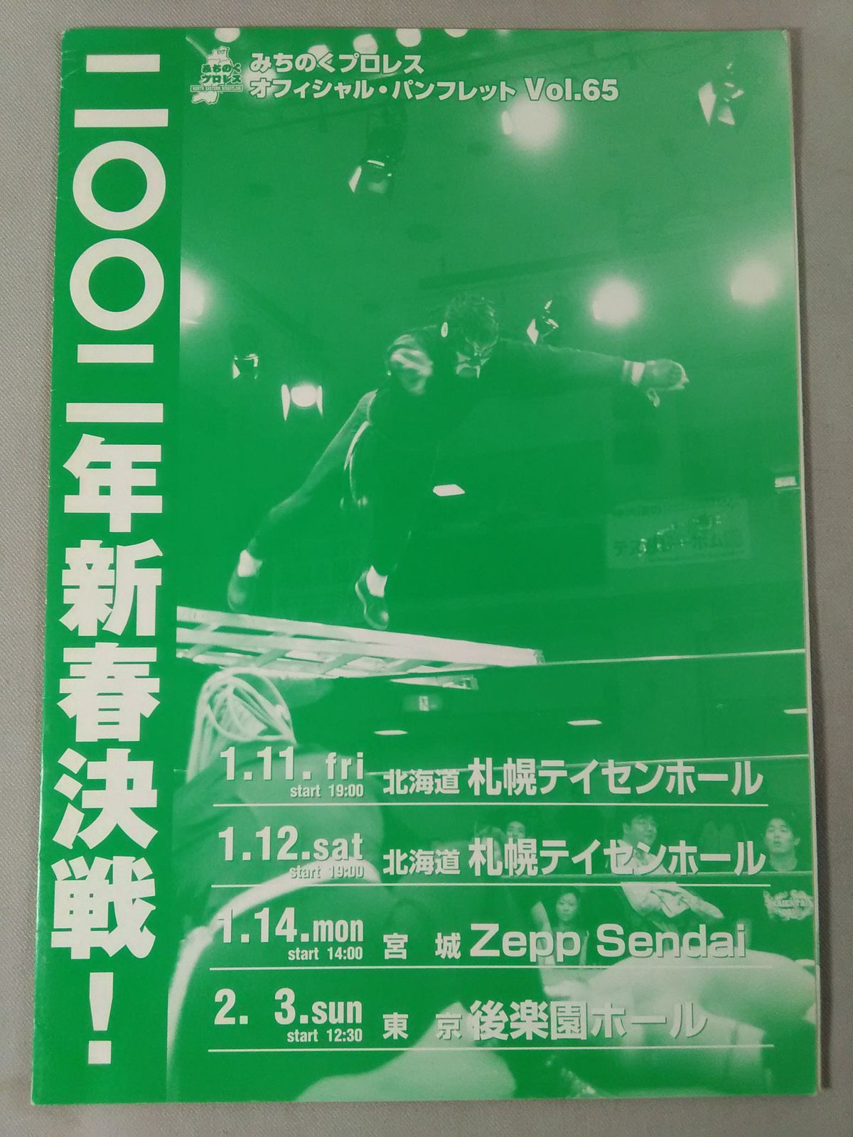 Michinoku Pro Wrestling Official Brochure Vol.65