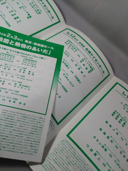 Michinoku Pro Wrestling Official Brochure Vol.65
