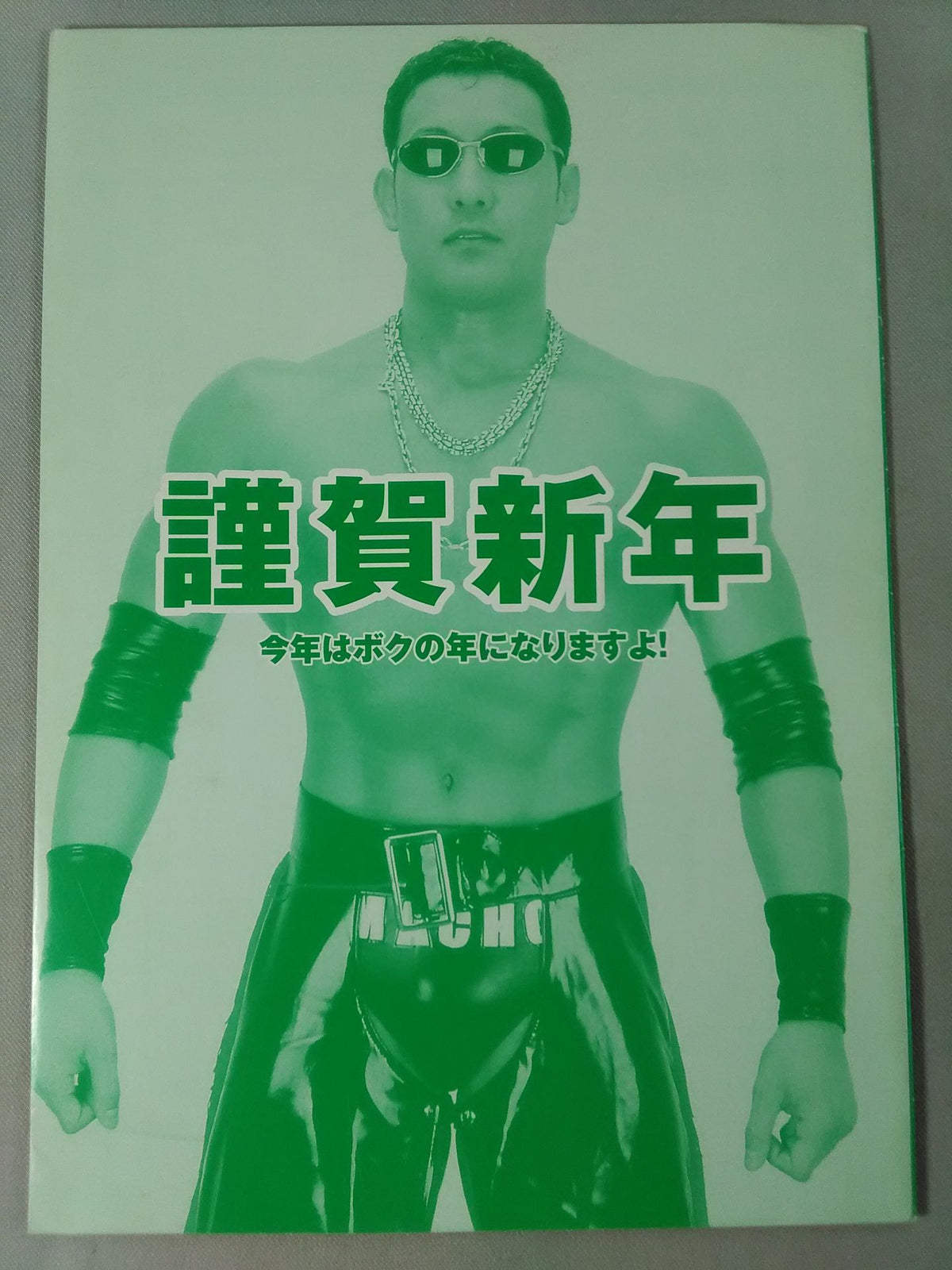 Michinoku Pro Wrestling Official Brochure Vol.65