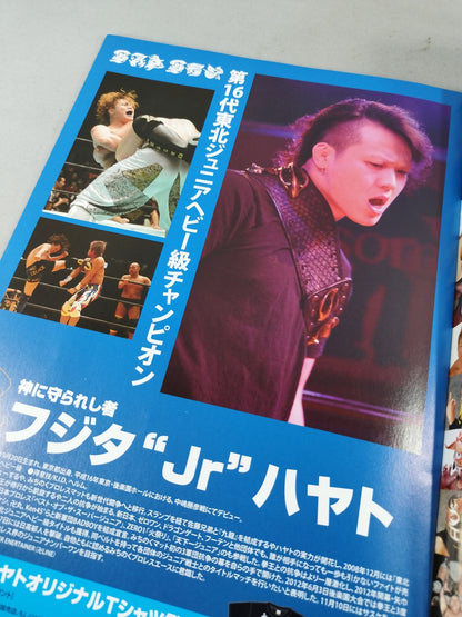 Michinoku Pro Wrestling  Official Brochure Vol.141