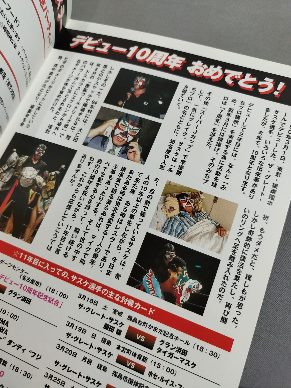 Michinoku Pro Wrestling Official Brochure Vol.54