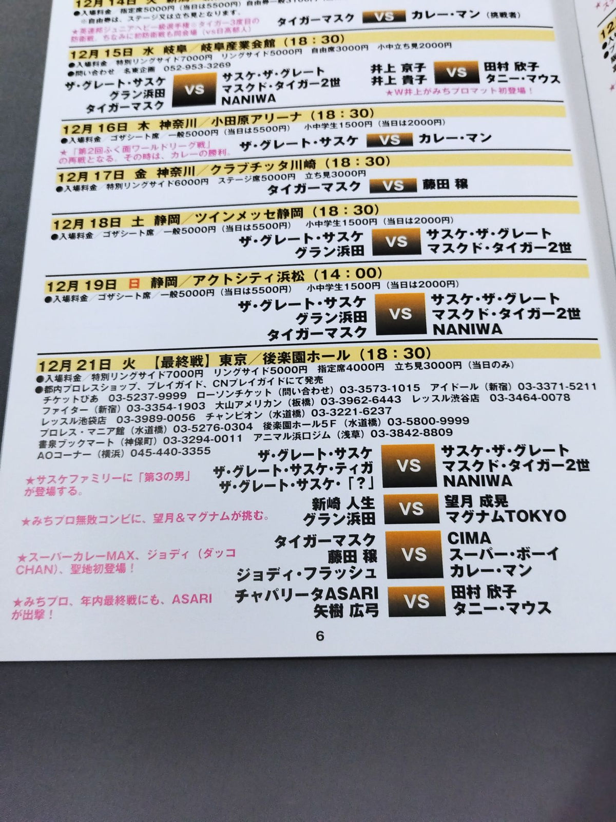 Michinoku Pro Wrestling Official Brochure Vol.53 [Final Round]