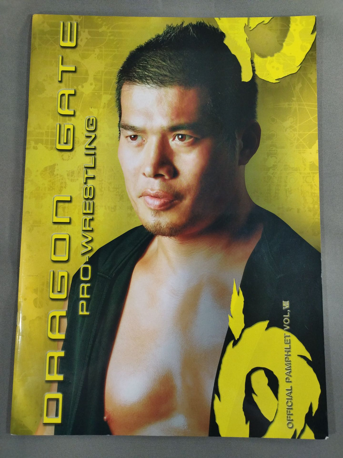 2008 Dragon Gate Official Brochure Vol.VIII.(Vol.8)