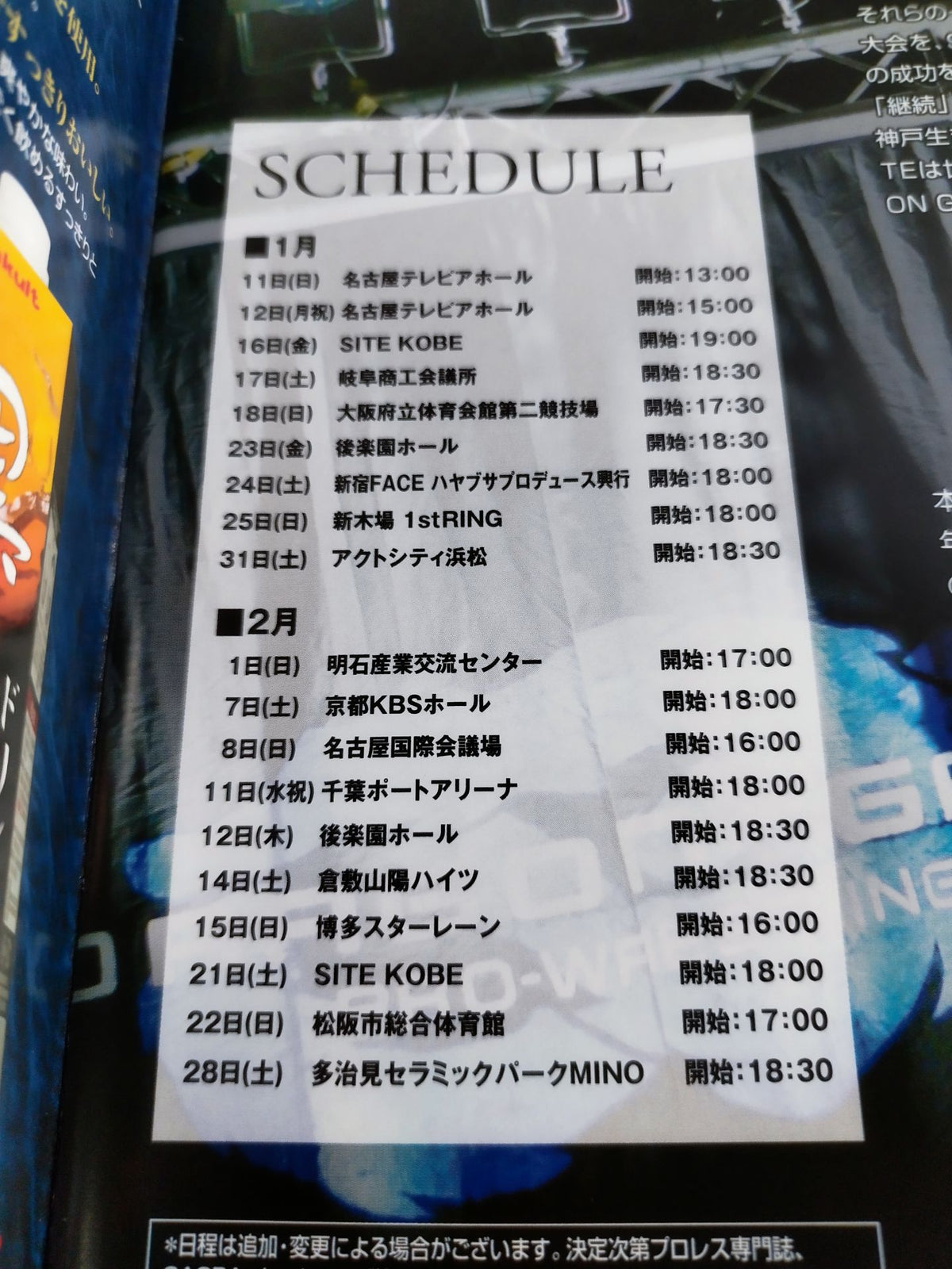 2009ドラゴンゲート オフィシャルパンフレット(1月～2月)