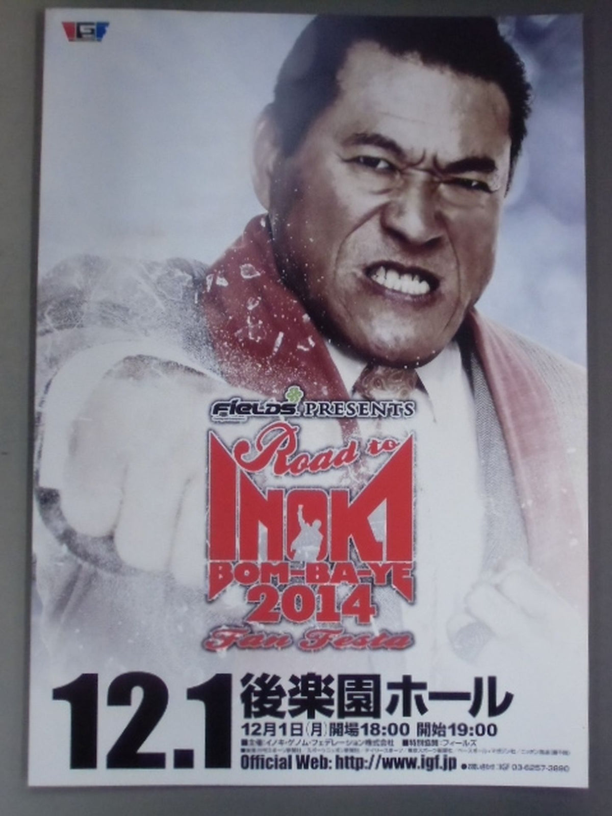 Road to INOKI BOM-BA-YE 2014 Fan Festa