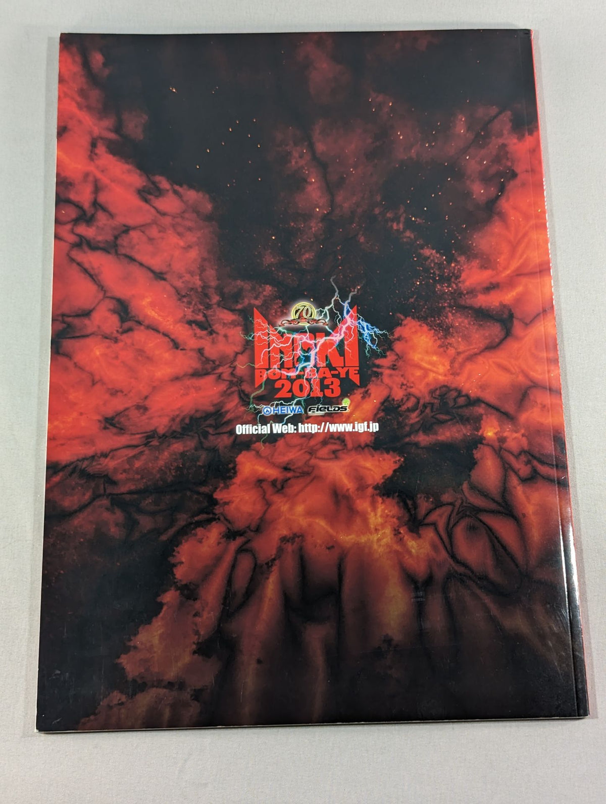 IGF / INOKI BOM-BA-YE 2013 / イノキボンバイエ2013