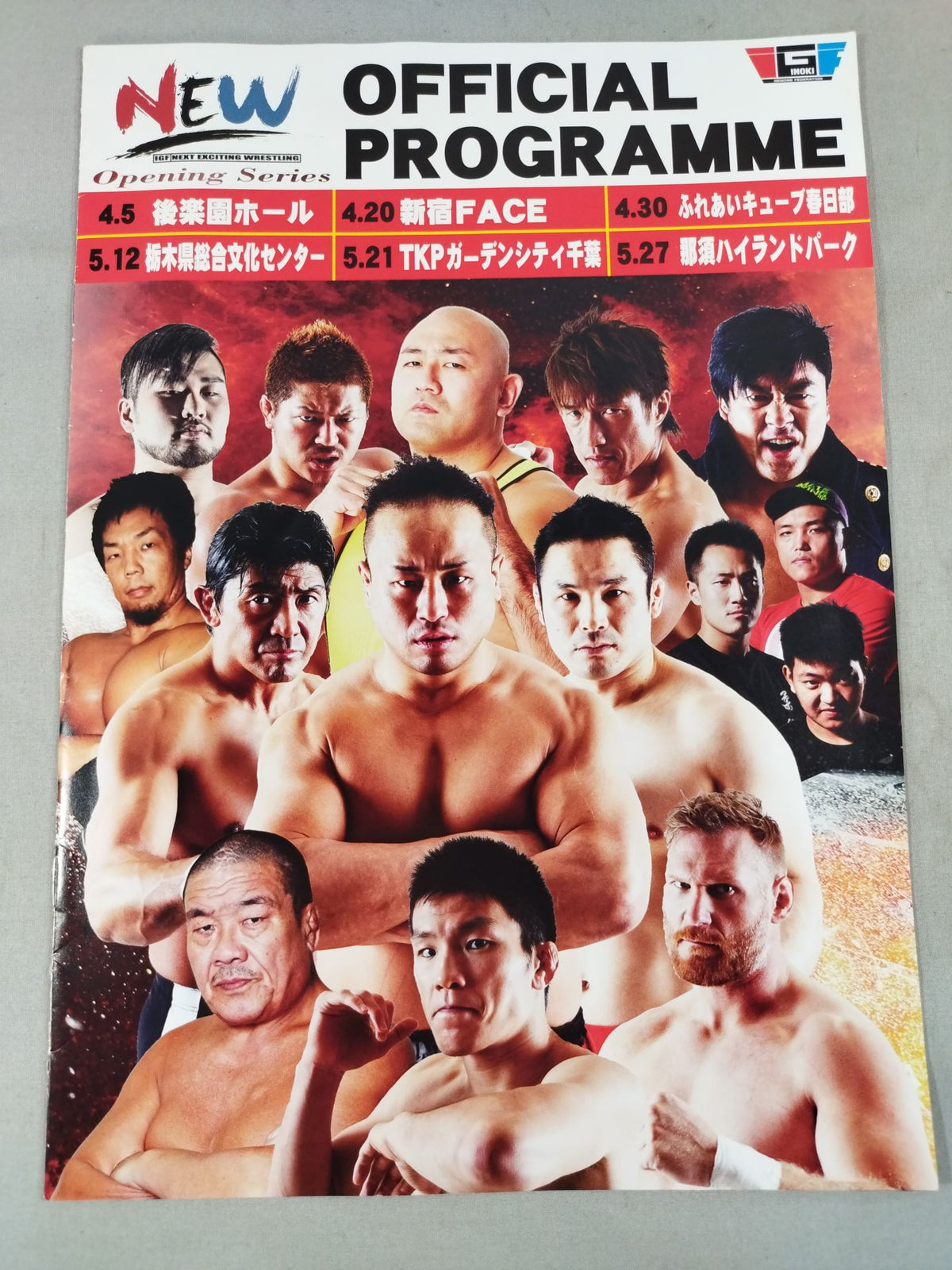 IGF / NEW OFFICIAL PROGRAMME オープニングシリーズ