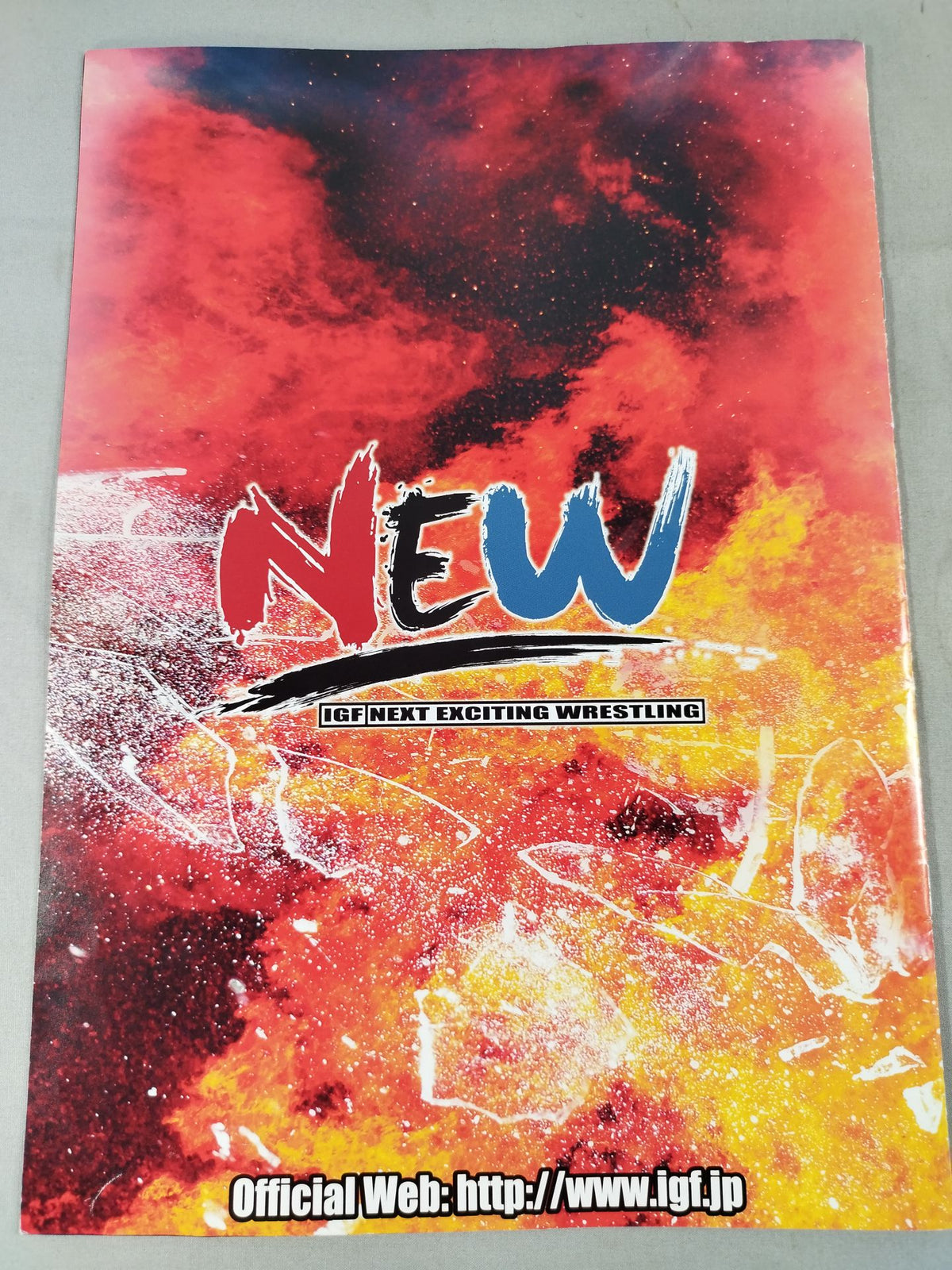 IGF / NEW OFFICIAL PROGRAMME オープニングシリーズ