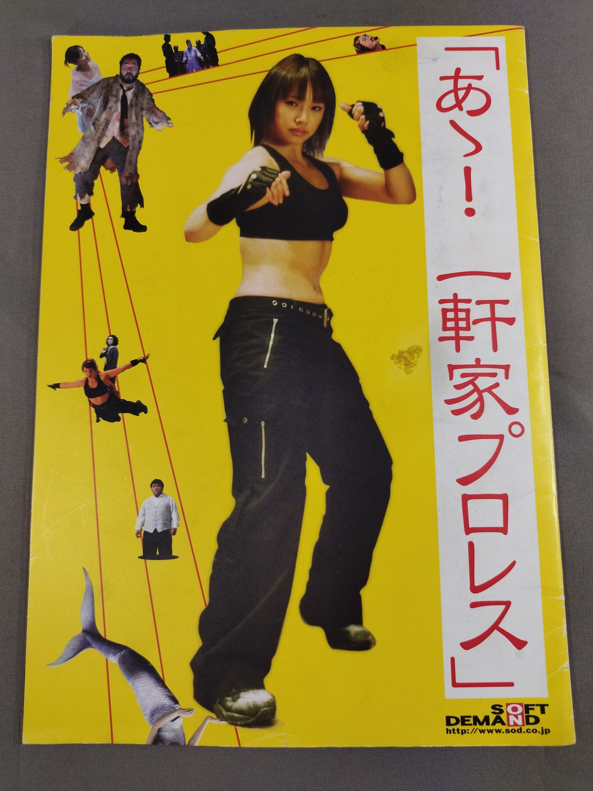 ★ Starring ★ Shinya Hashimoto Ah! HousePro Wrestling 