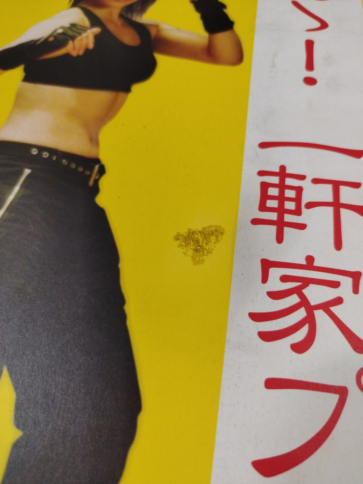 ★ Starring ★ Shinya Hashimoto Ah! HousePro Wrestling 