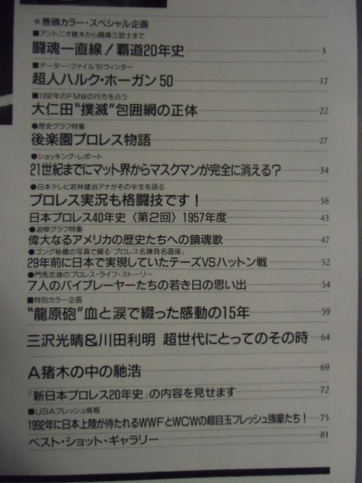 ゴング増刊号 ’91冬号 週刊ゴングSPECIAL