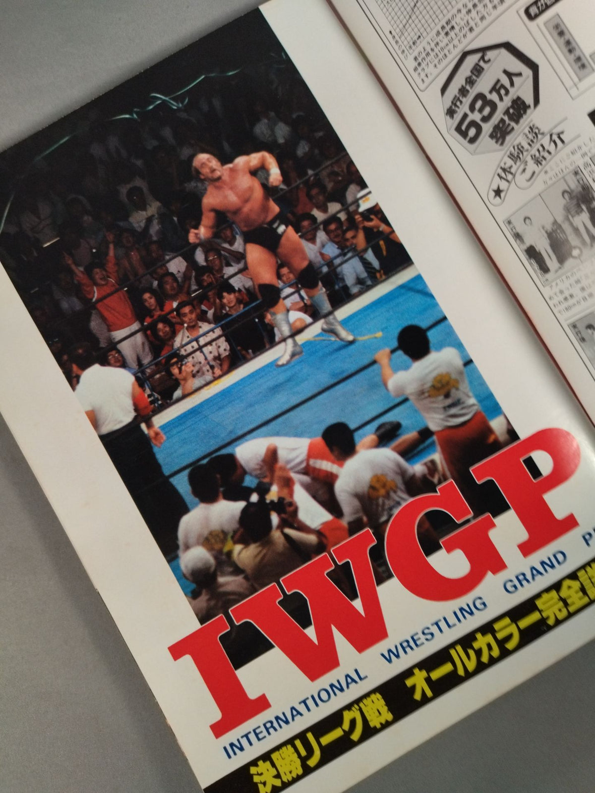 Gong Special Issue IWGP ~ Gong Best Album Series (9)~