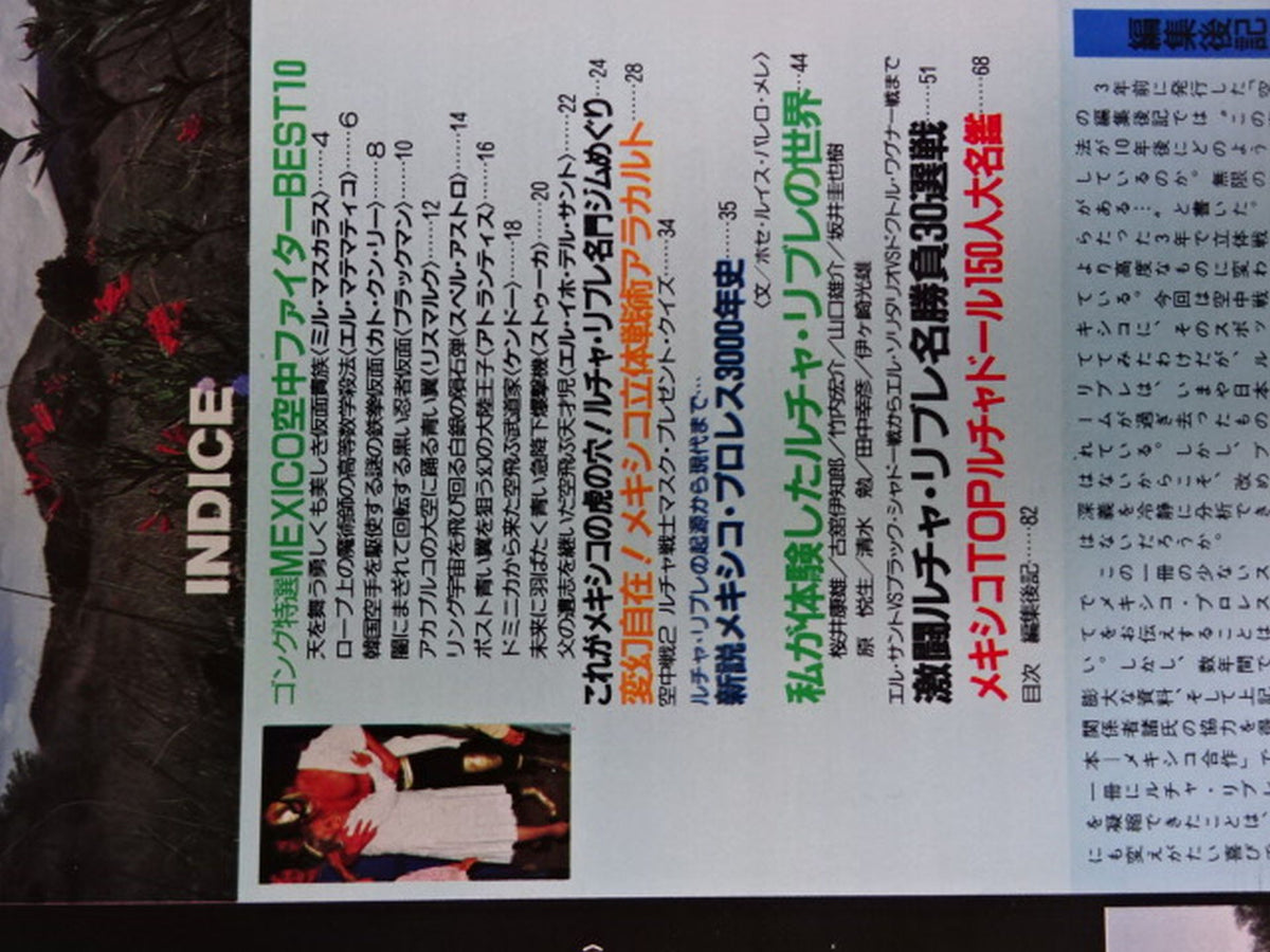 ゴング増刊号 THE 空中戦2 ～ゴング･ベスト・アルバム・シリーズ⑮～