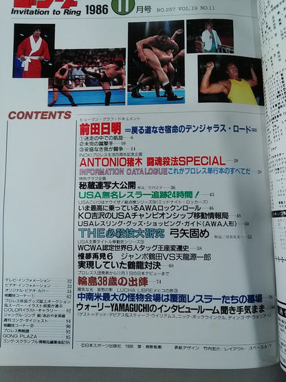 Monthly Gong Vol.19 No.11