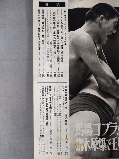 月刊ゴングVol.2 No.15増刊