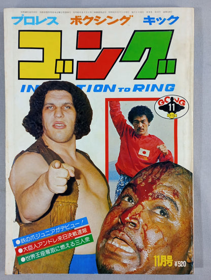Monthly Gong Vol.9 No.15