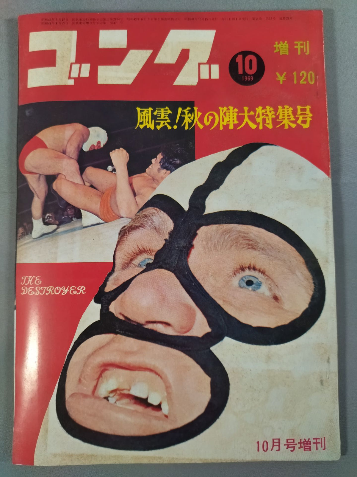月刊ゴングVol.2 No.13増刊