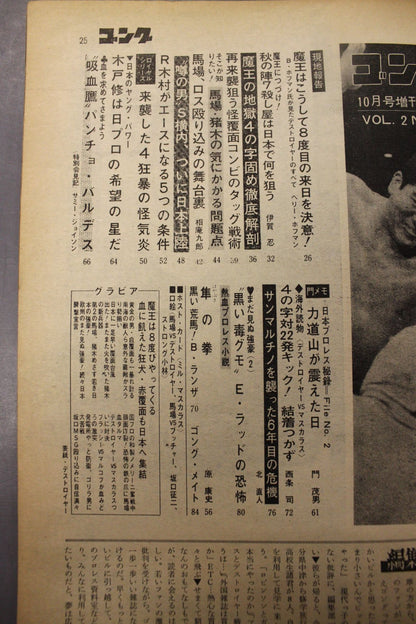 月刊ゴングVol.2 No.13増刊