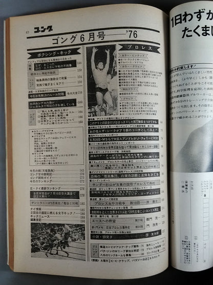 月刊ゴングVol.9 No.8