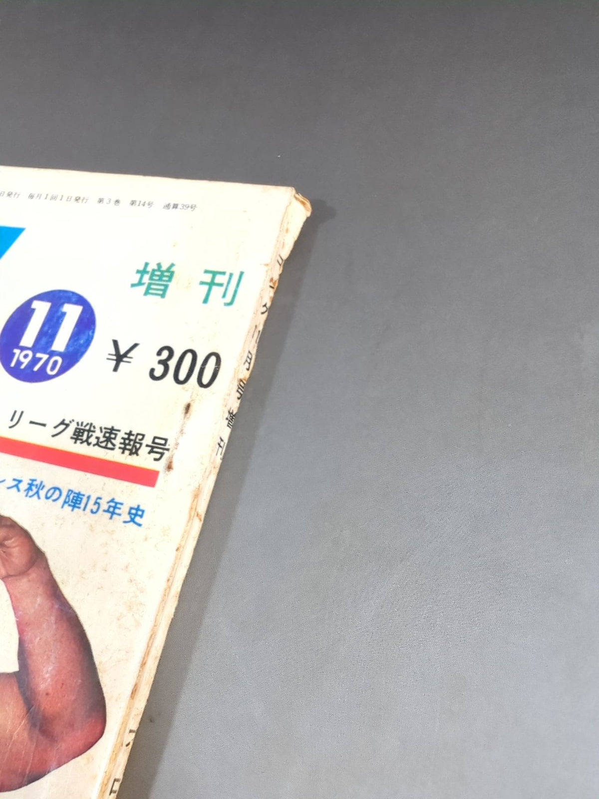 月刊ゴングVol.3 No.14増刊