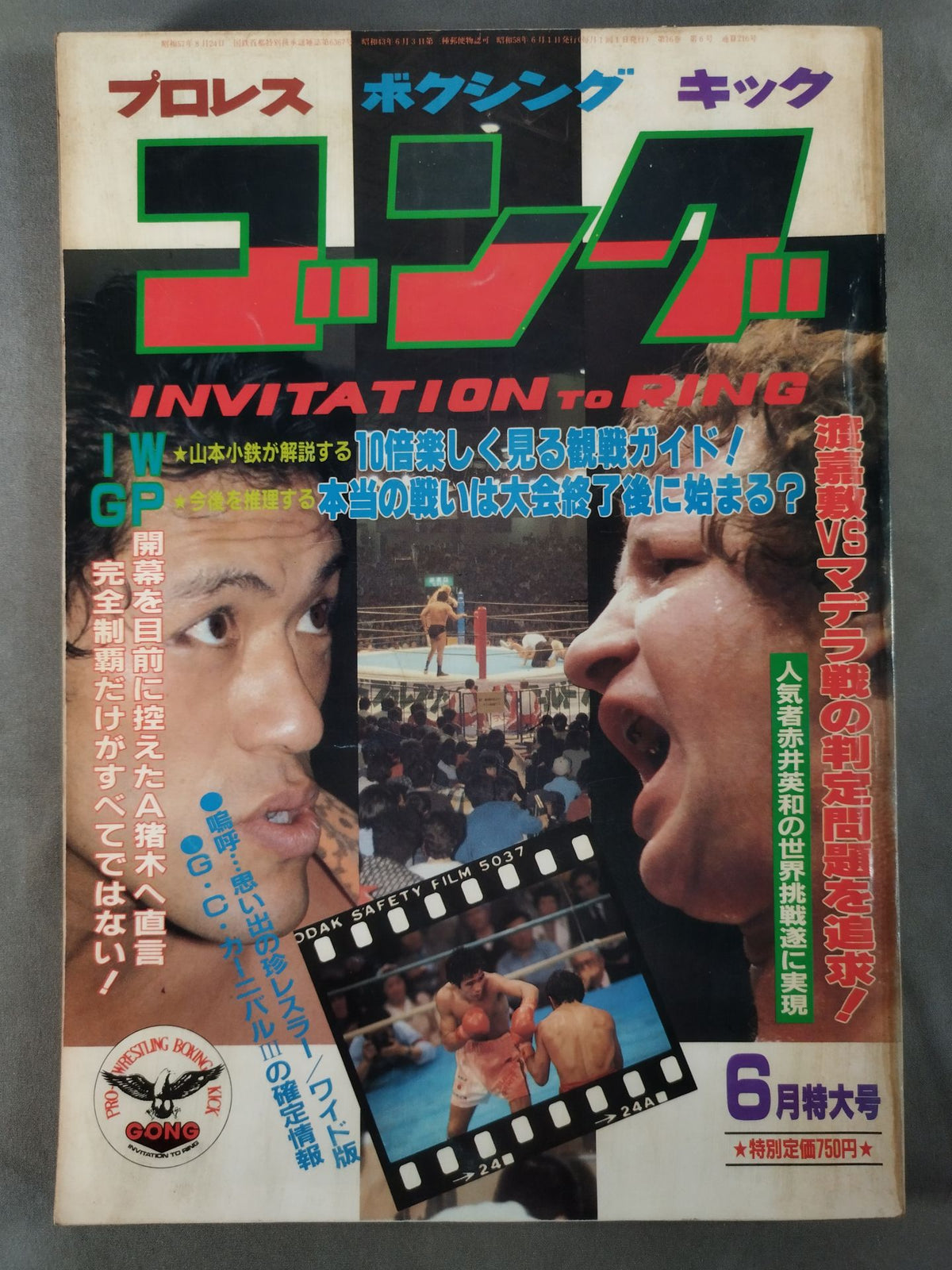 Monthly Gong Vol.16 No.6