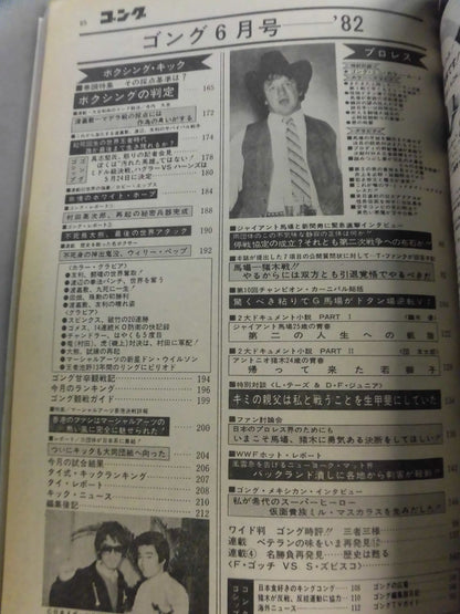 ★ Terry Funk Monthly Gong Vol.15 ★ No.6 with Mini Color Card