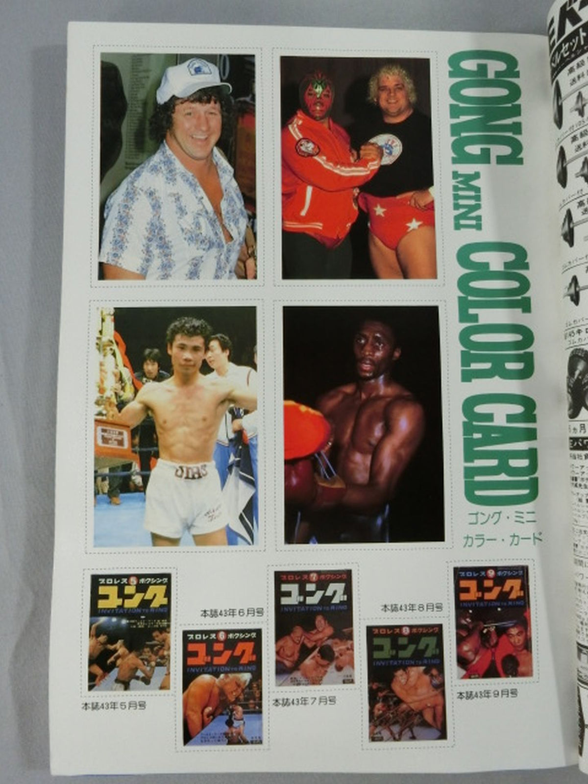 ★ Terry Funk Monthly Gong Vol.15 ★ No.6 with Mini Color Card