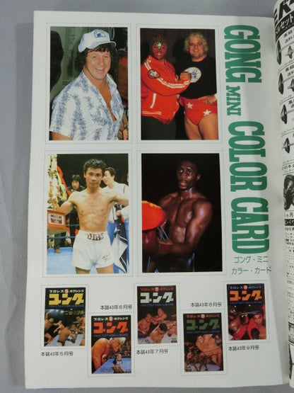 ★ Terry Funk Monthly Gong Vol.15 ★ No.6 with Mini Color Card