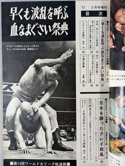 月刊ゴングVol.5 No.6増刊