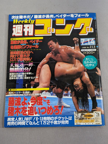 週刊ゴング213