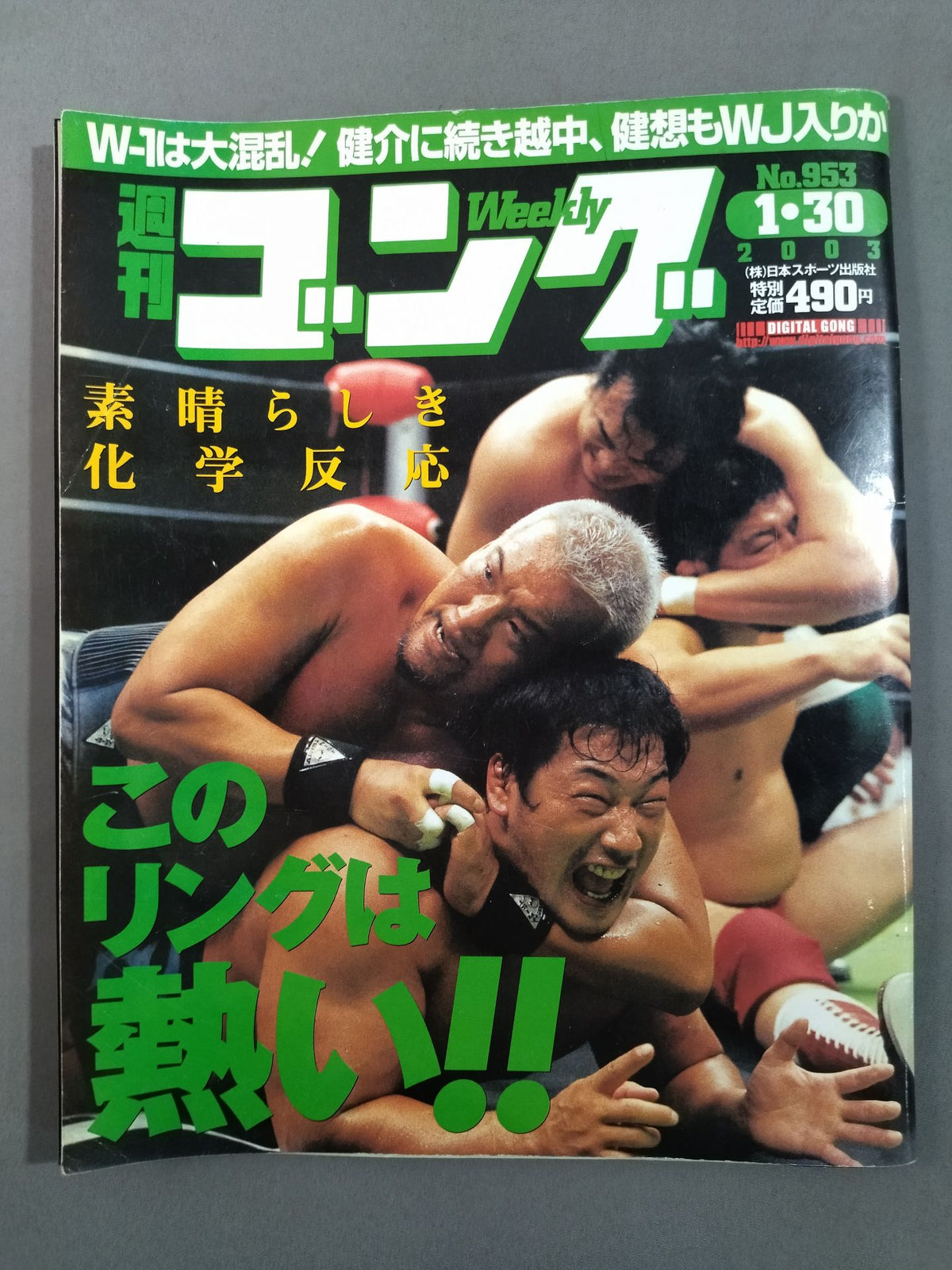 週刊ゴング953