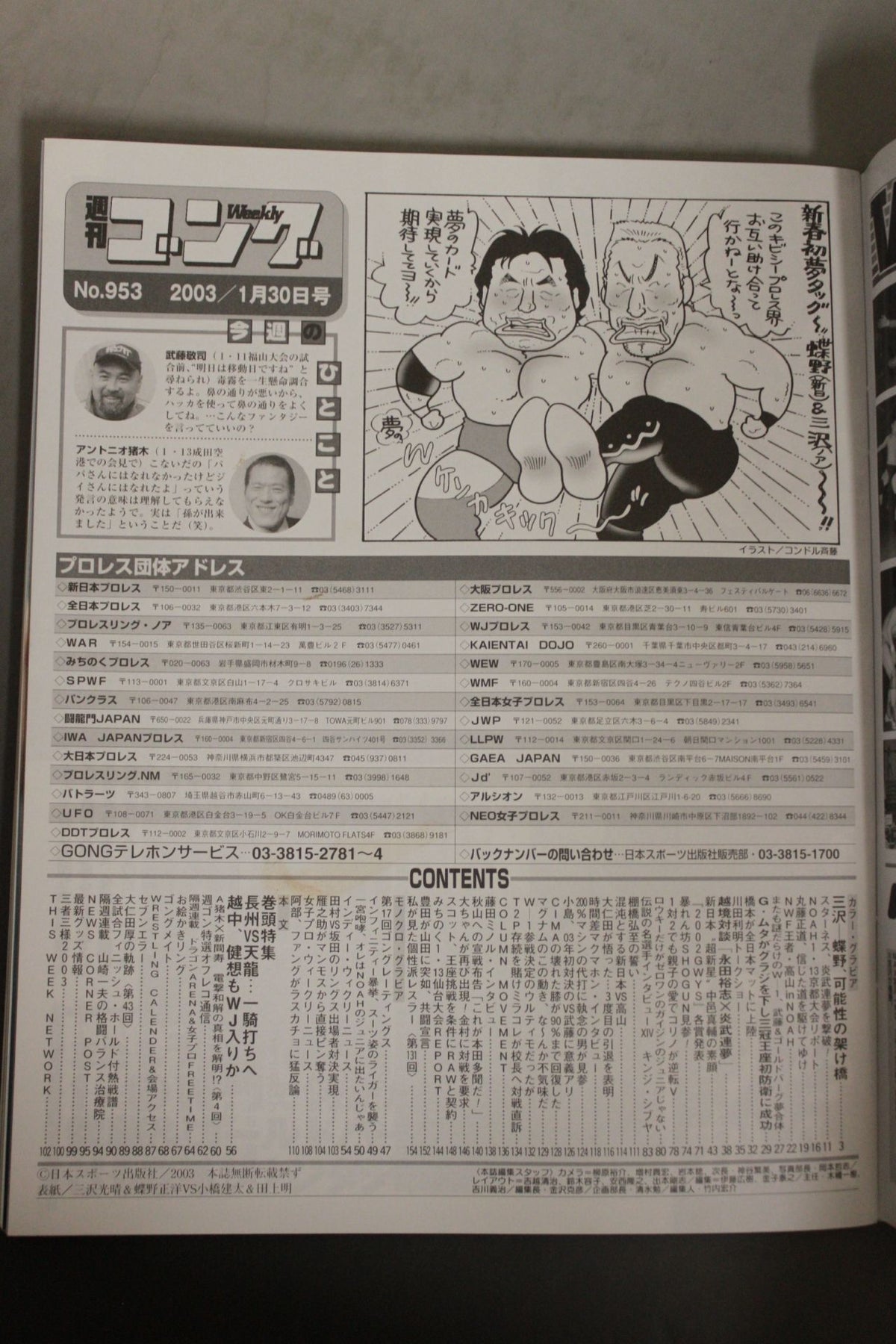 週刊ゴング953