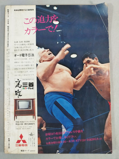 別冊ゴングVol.2 No.6