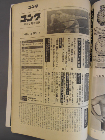 別冊ゴングVol.3 No.2