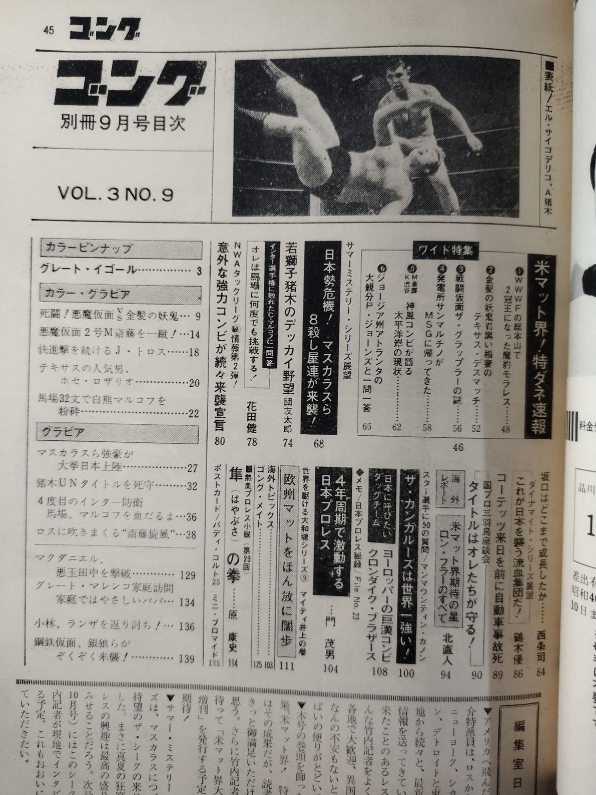 別冊ゴングVol.3 No.9