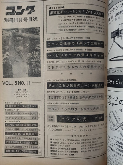 別冊ゴングVol.5 No.11