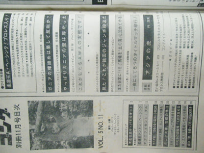 別冊ゴングVol.5 No.11