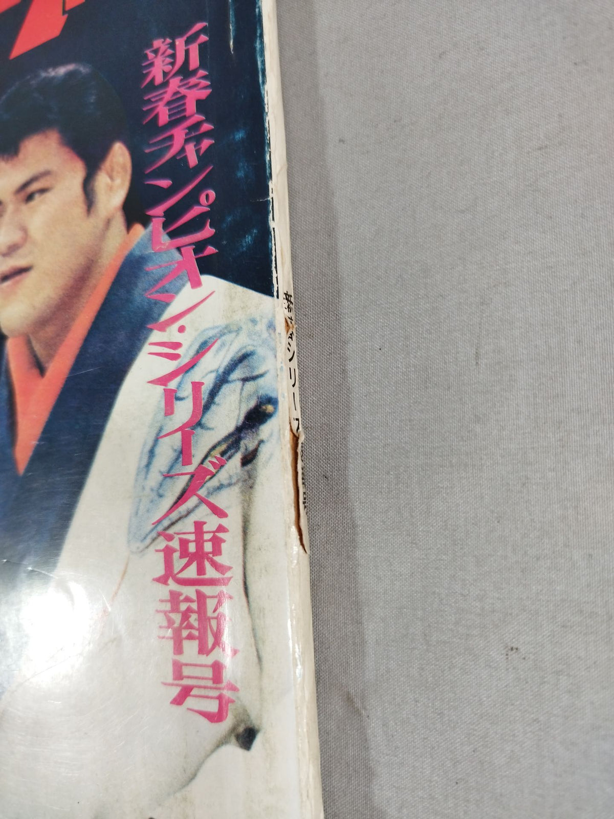 別冊ゴングVol.3 No.2