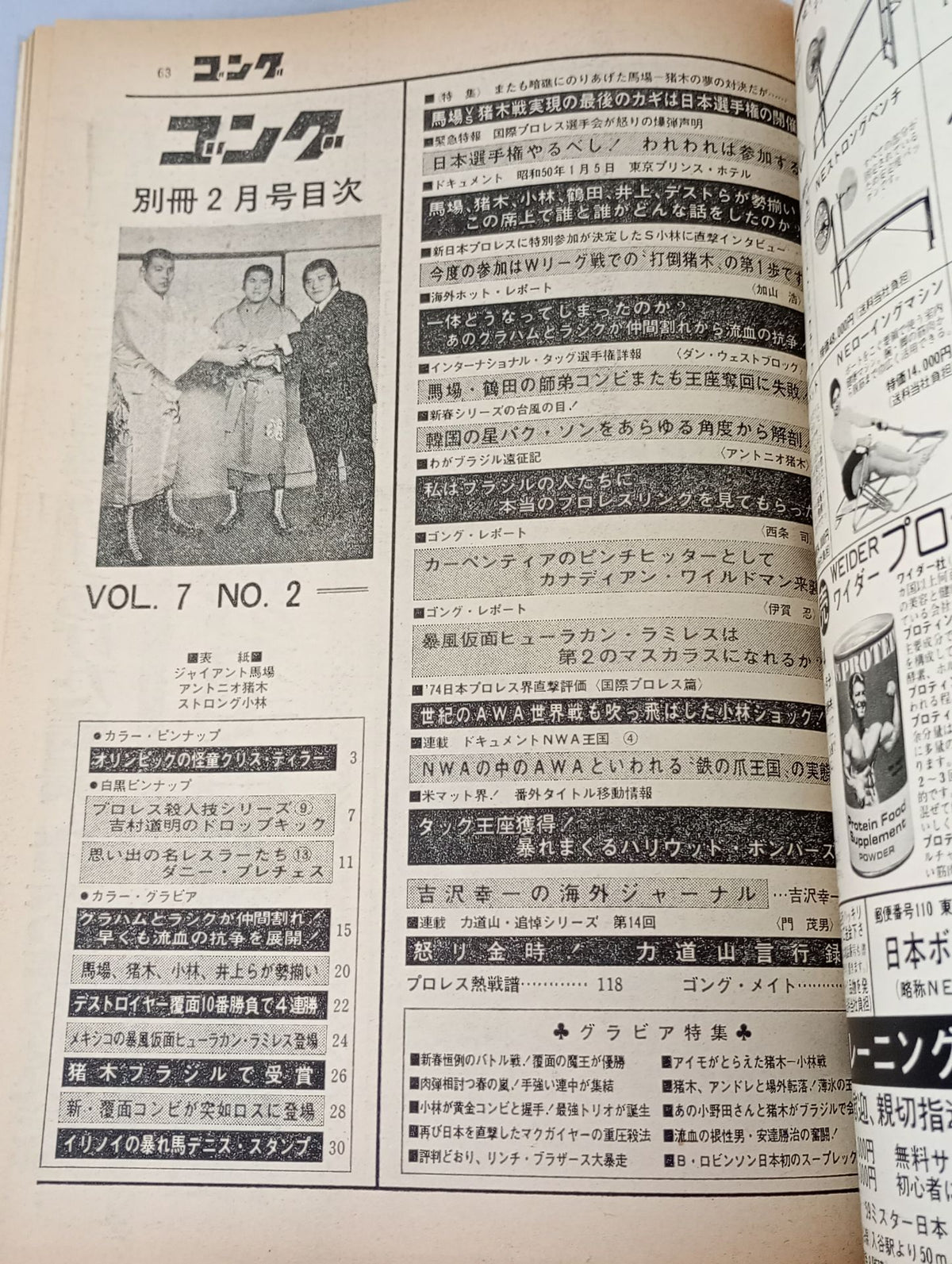 別冊ゴングVol.7 No.2