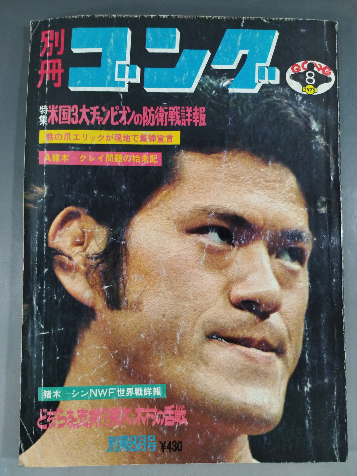 別冊ゴングVol.7 No.8