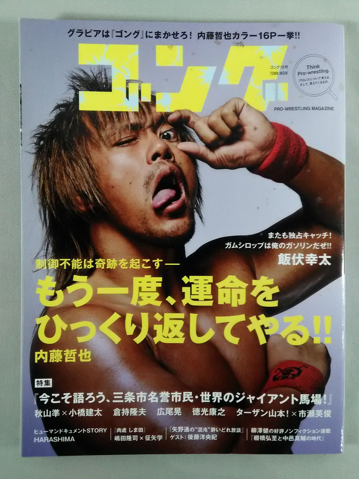 Gong Vol.18
