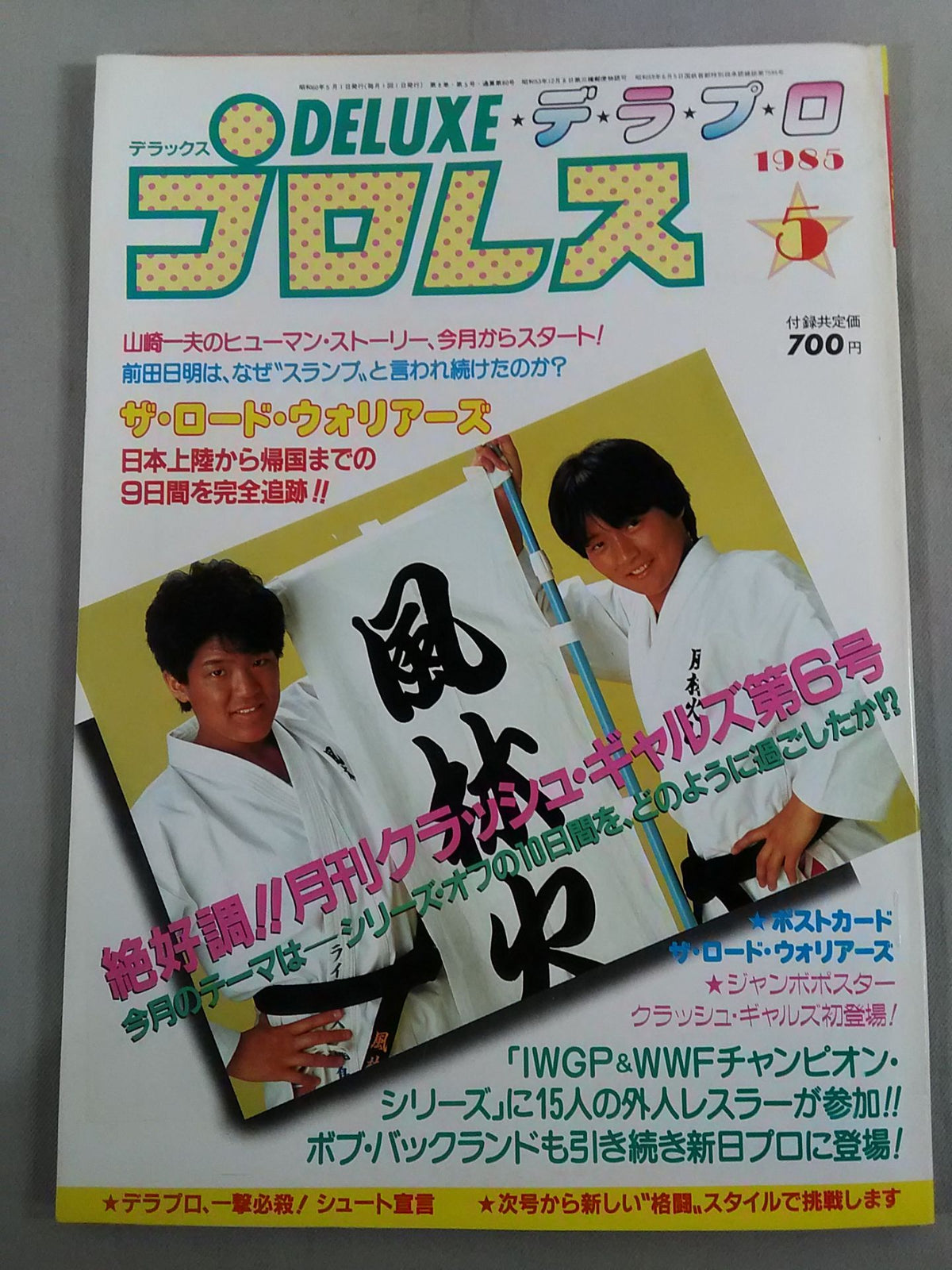 Deluxe Pro Wrestling May 1985 Issue