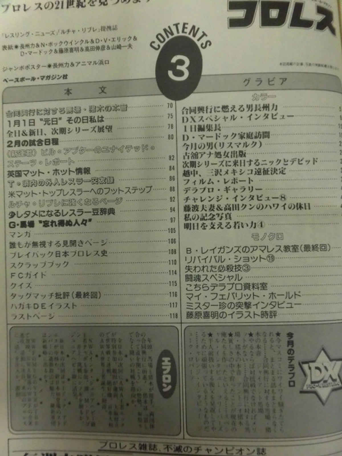 デラックスプロレス 1984年03月号
