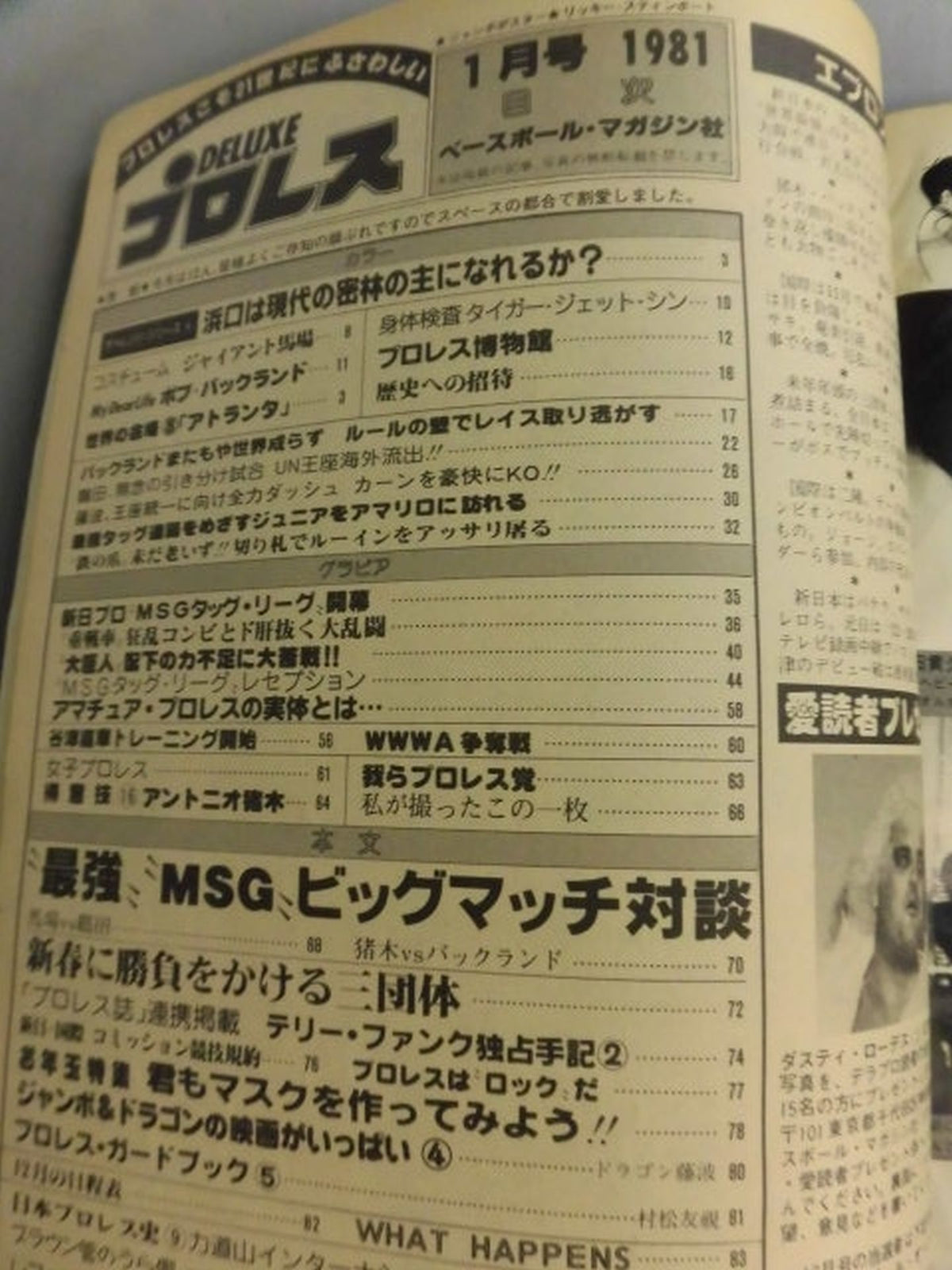 Deluxe Pro Wrestling  January 1981