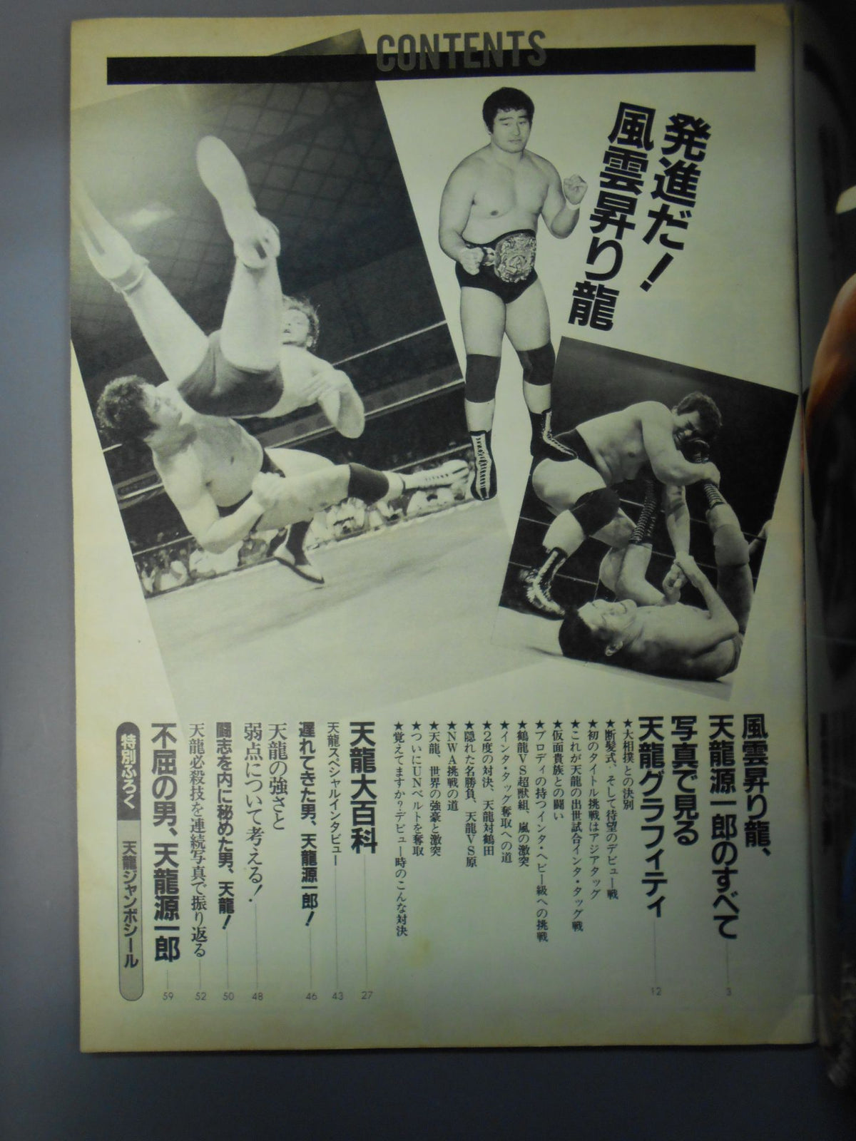 Pro Wrestling  album 50 Tenryu Genichiro 