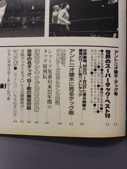 プロレスアルバム65 これっきゃない!ニューウェーブ・タッグ